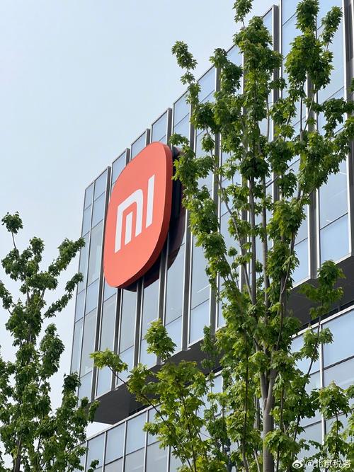 「智造未来，税通天下」——网络大V探访小米汽车工厂，解码税收服务新生态